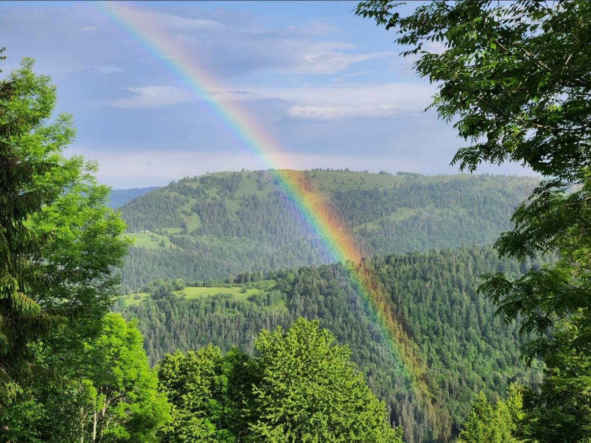 Cabana Lupul Din Apuseni Matisesti Exterior foto