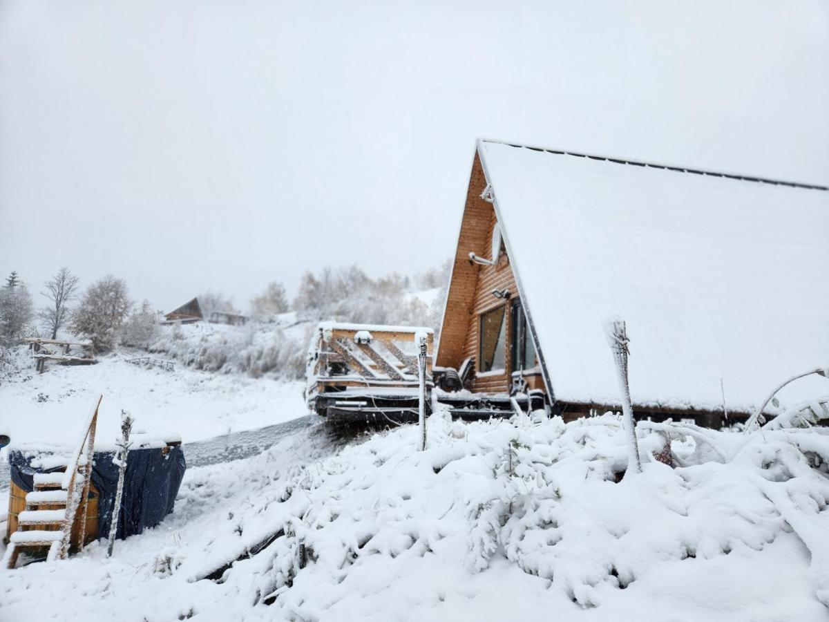 Cabana Lupul Din Apuseni Matisesti Exterior foto