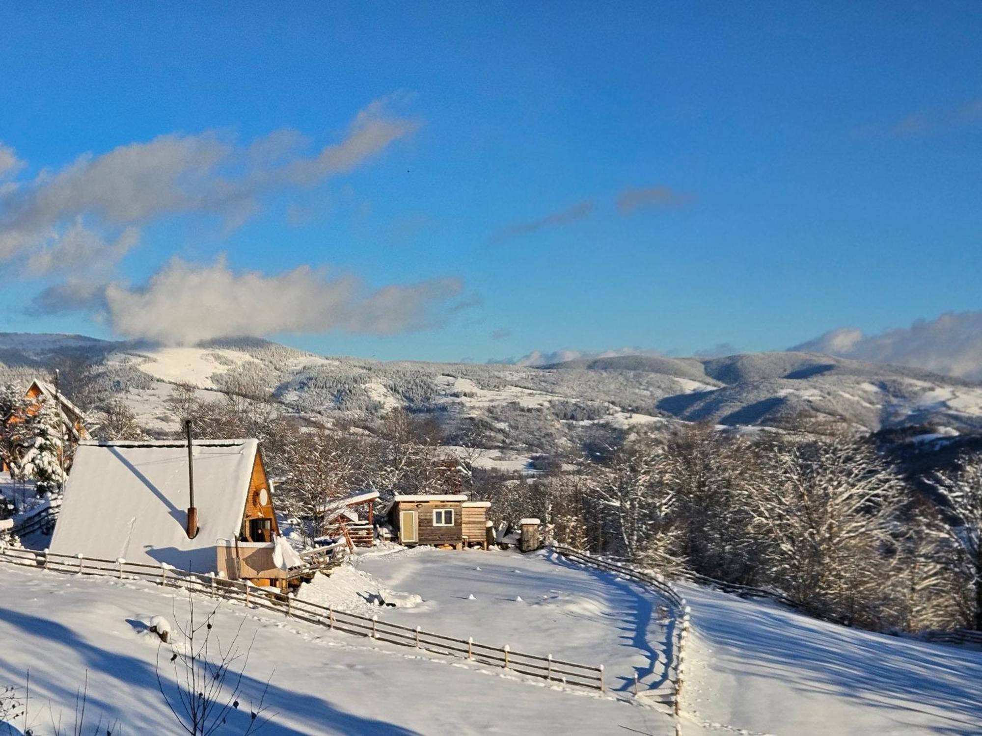 Cabana Lupul Din Apuseni Matisesti Exterior foto