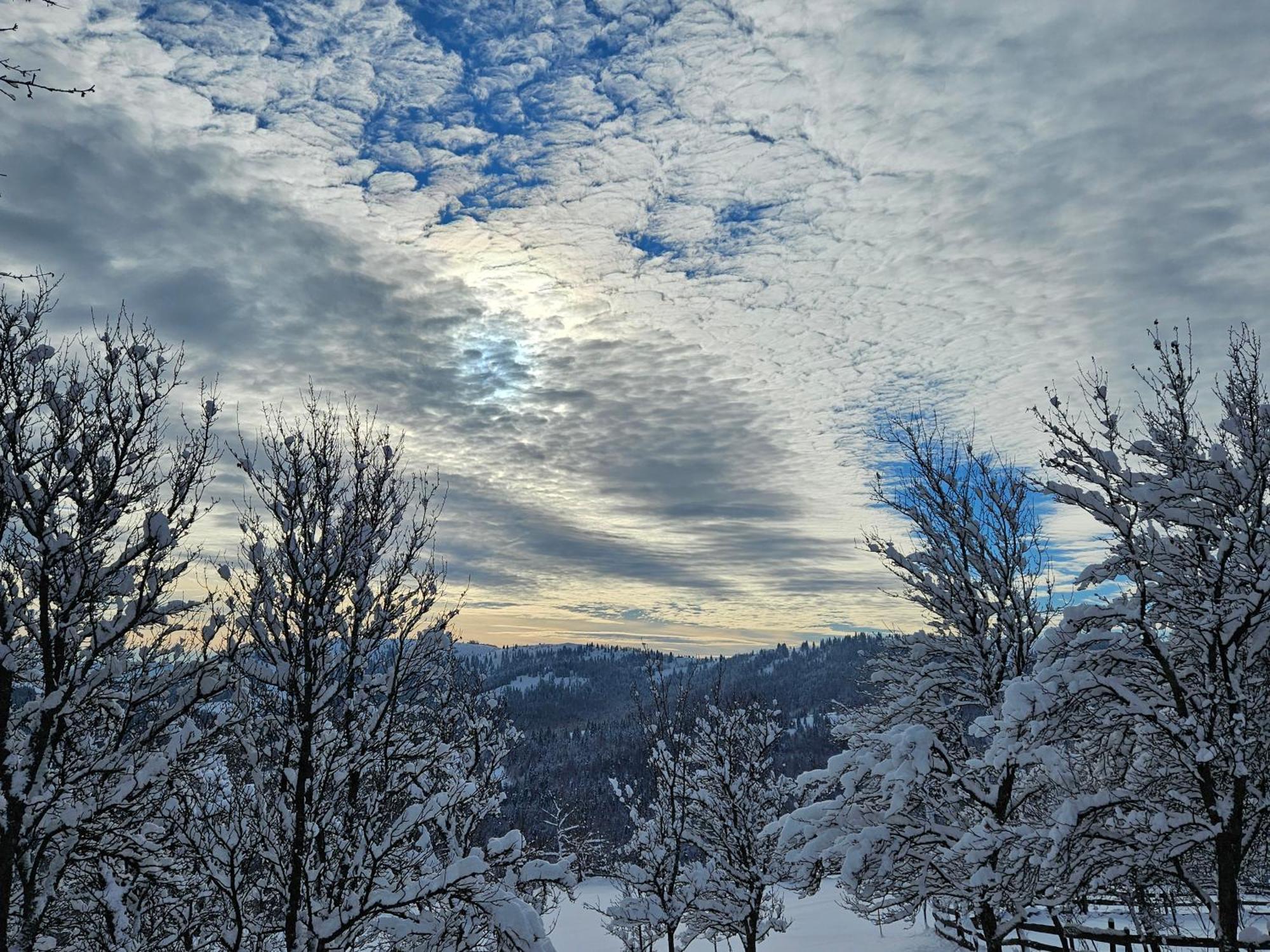 Cabana Lupul Din Apuseni Matisesti Exterior foto